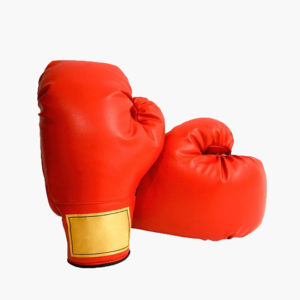 BOXING GLOVES