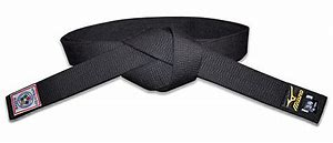 UNE CEINTURE NOIRE DE PLUS… ET D’AUTRES QUI APPROCHENT À GRANDS PAS